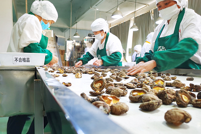 百興食品 風(fēng)口搶'鮮'，預(yù)制菜香飄海內(nèi)外